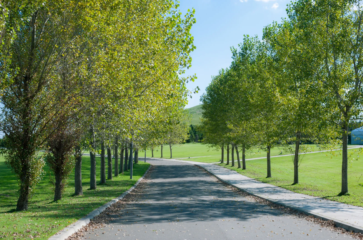 札幌 中古車リース】おすすめ5社を徹底比較！～月額1万円台から契約できる会社はどこ？～ - 車のサブスク研究所～さぁ！低コストで車に乗ろう！～